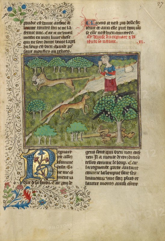 Foxes and their Ruses; Livre de la Chasse, about 1430-1440. Creator: Unknown.