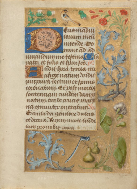 Decorated Text Page; Book of Hours, about 1480-1490. Creator: Unknown.