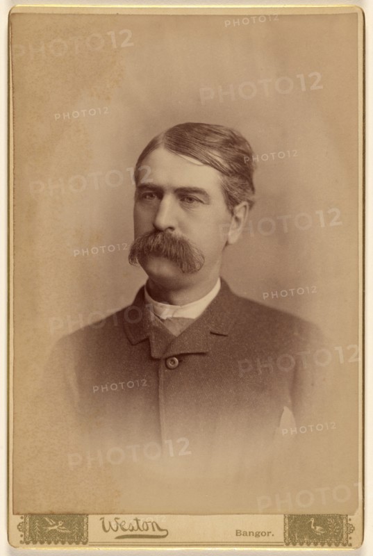 Portrait of an unidentified man with a bushy moustache, 1885. Creator: FC Weston.