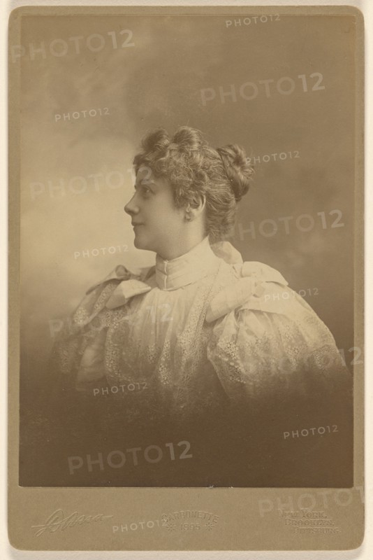 Portrait of a woman in profile, 1895. Creator: Edward C Dana.