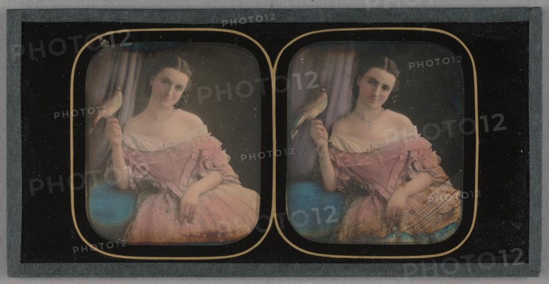 Portrait of a Seated Woman with a Bird Perched on Her Finger, about 1855. Creator: Unknown.