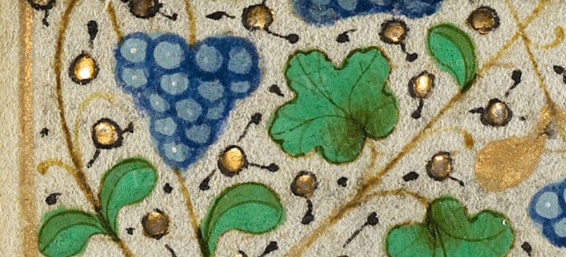 Decorated Border with Grapes; Boethius, Consolation de philosophie, about 1460-1470. Creator: Unknown.