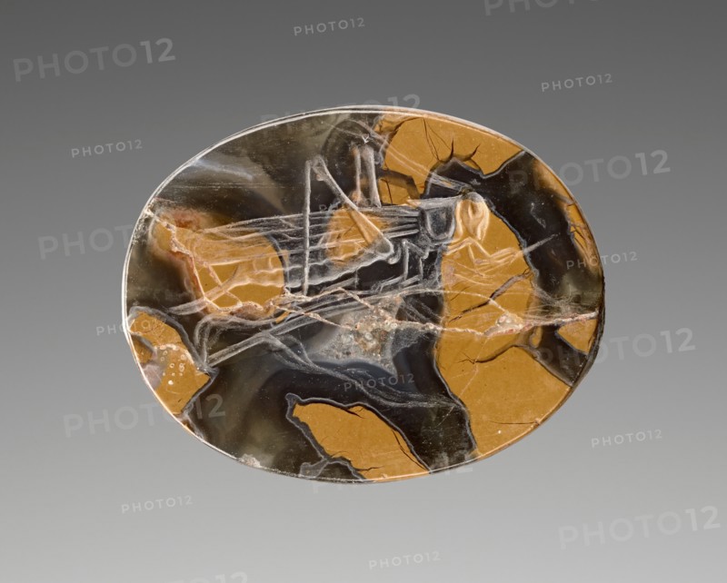 Engraved Scaraboid with a Grasshopper, 425-400 BC. Creator: Unknown.
