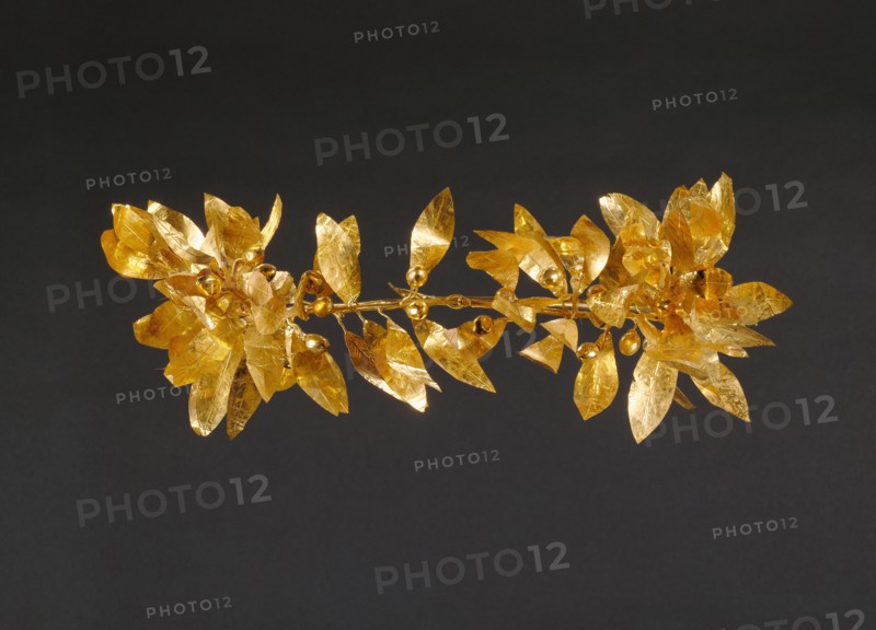 Wreath with detached stem including leaves and detached berries, 300-100 BC. Creator: Unknown.
