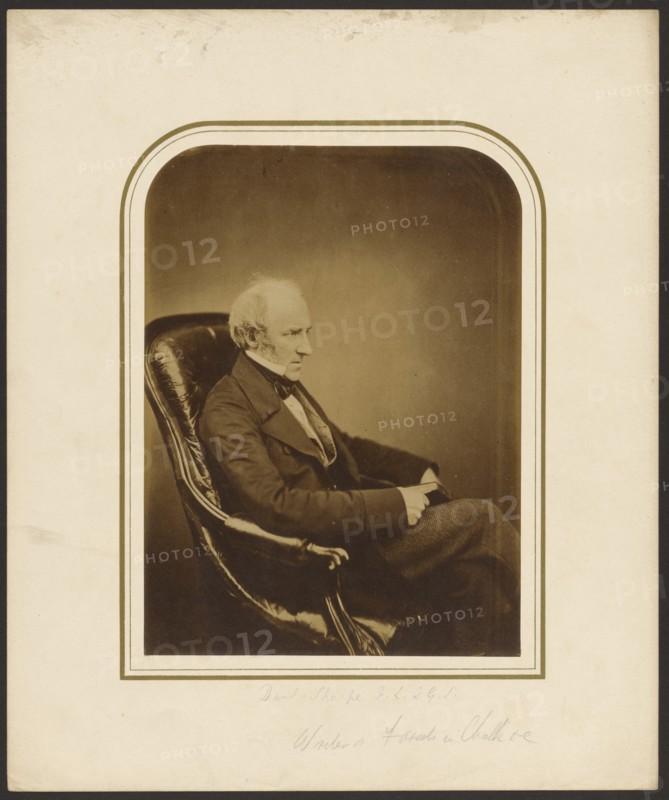 Danl. Sharpe F.L.S., G.S., 1855. Creator: Maull & Polyblank.