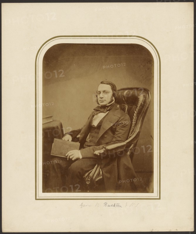 George Bowdler Buckton F.R.S., 1855-1859. Creator: Maull & Polyblank.