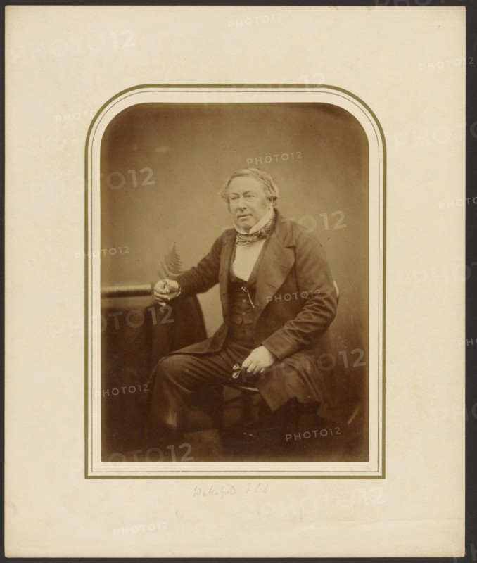 Portrait of Wakefield, F.L.S., 1855. Creator: Maull & Polyblank.