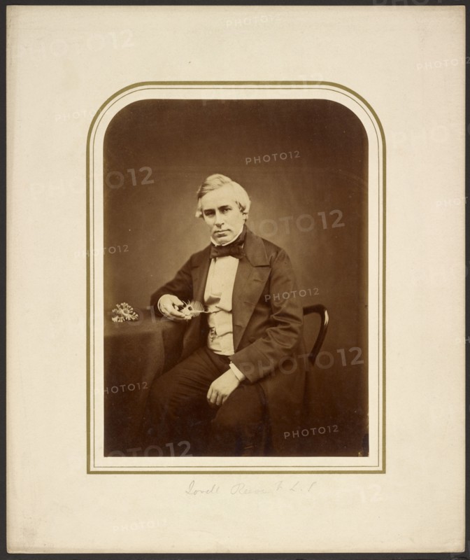 Lovell Reeve, F.L.S., 1854-1865. Creator: Maull & Polyblank.