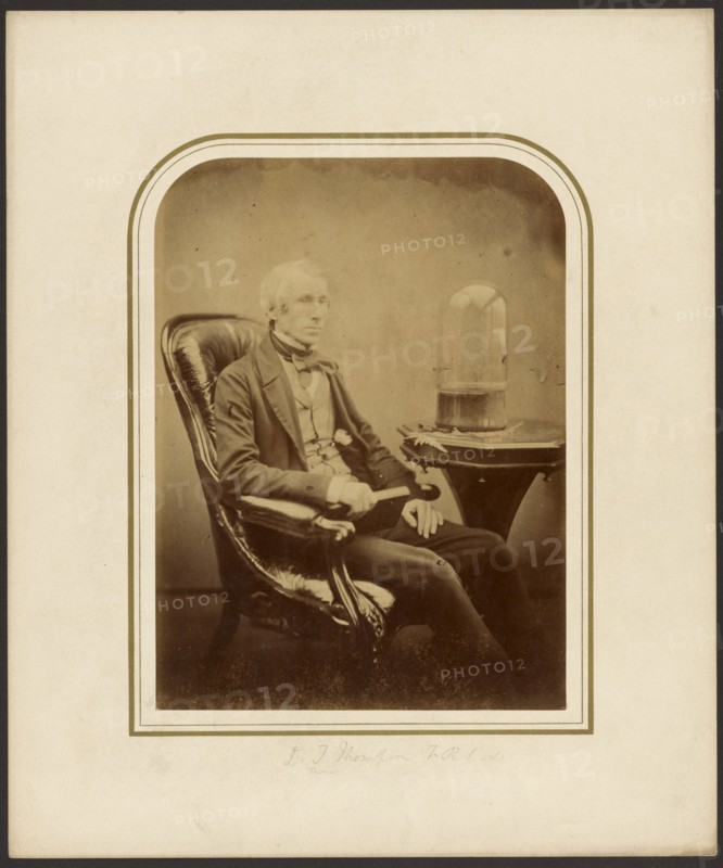 Portrait of Thomson, F.R.S., 1855. Creator: Maull & Polyblank.