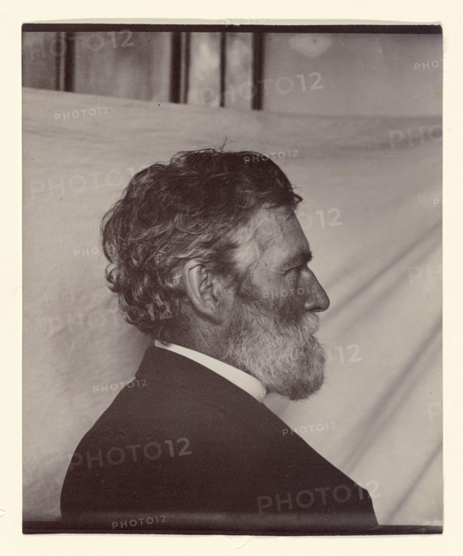 Portrait of George Davidson, about 1887. Creator: Carleton Emmons Watkins.