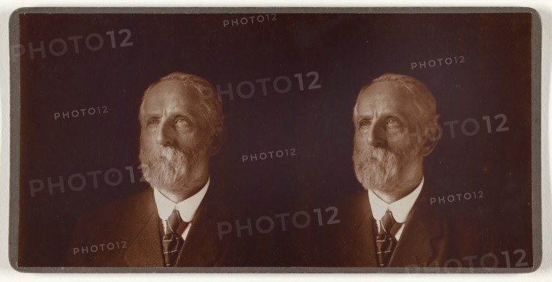 Portrait of Ava H. Fenn, M.D., about 1890. Creator: Unknown.