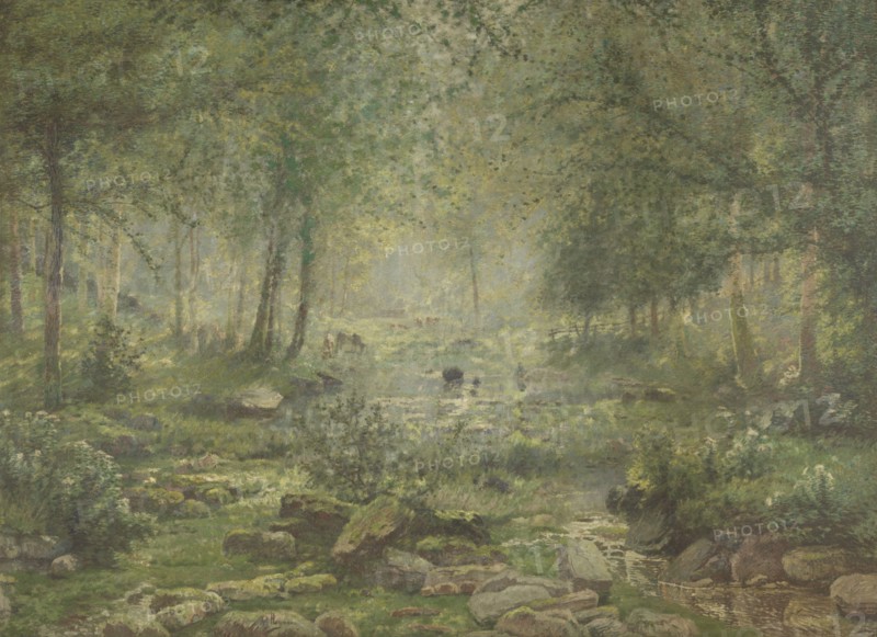 Woodland near Bertogne, late 19th-early 20th century. Creator: Adriaan Joseph Heymans.