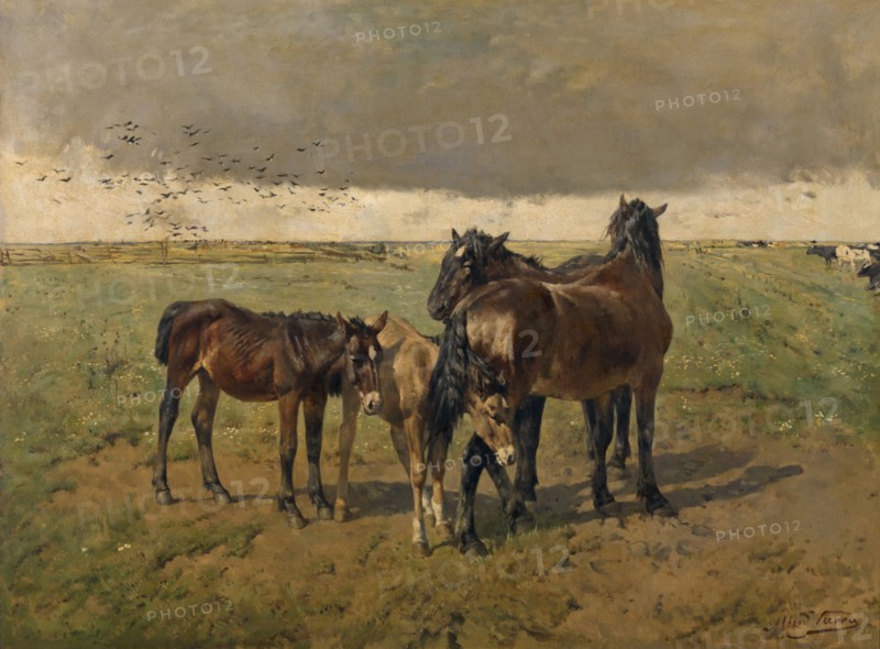 Foals in the Paddock, mid-late 19th century. Creator: Alfred Verwee.