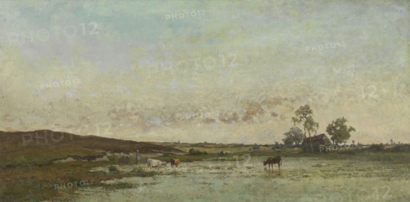 Fen in the Kempen, mid-late 19th century. Creator: Edouard Jules Joseph Huberti.