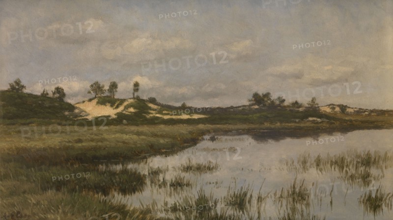 Marsh in the Heath, late 19th-early 20th century. Creator: Alfred Elsen.