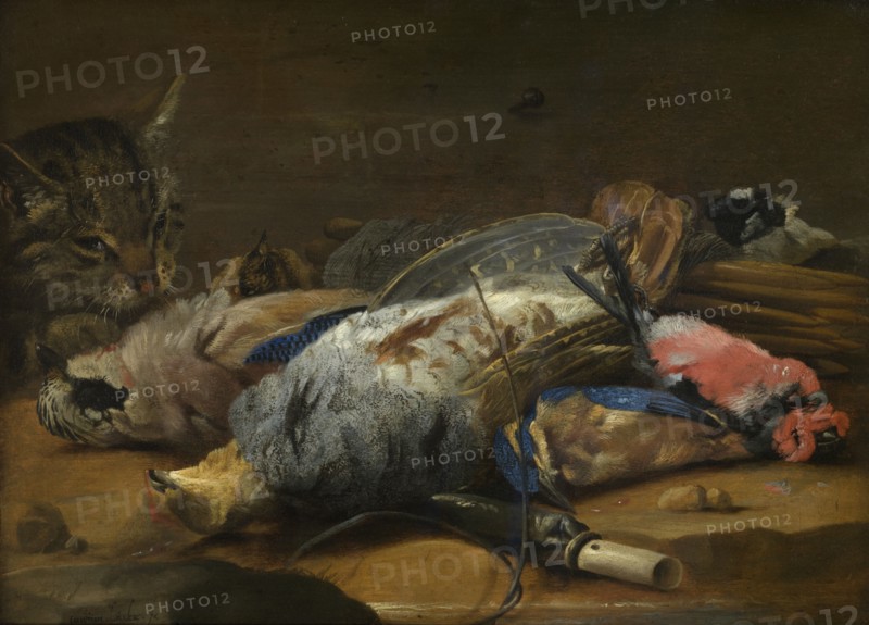 Cat and Dead Game, mid-17th century. Creator: Carstian Luyckx.