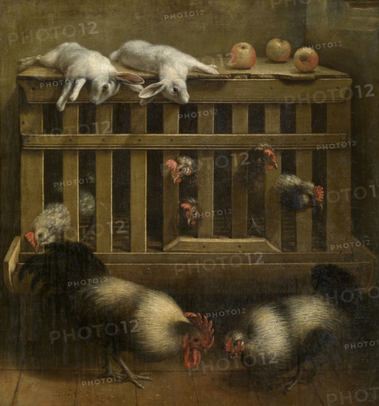 Fighting Cocks, 17th century. Creator: Anon.