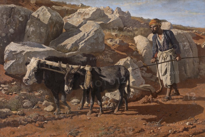 Plough Ox and Mule with Fellah, 1876. Creator: Charles Verlat.