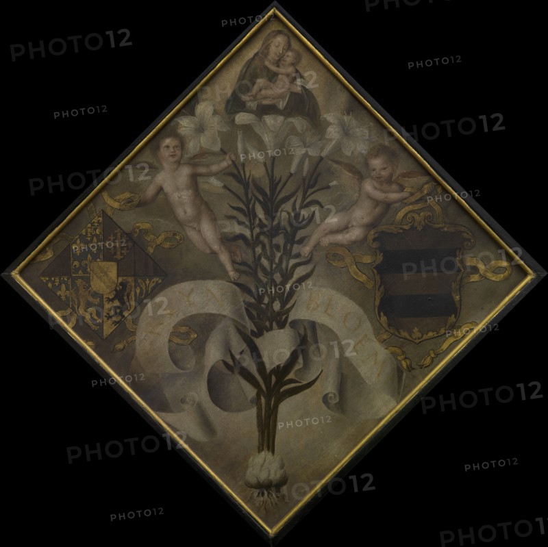 Blazon of the Diest Chamber of Rethoric "De Leliebloem", 1561. Creator: Anon.