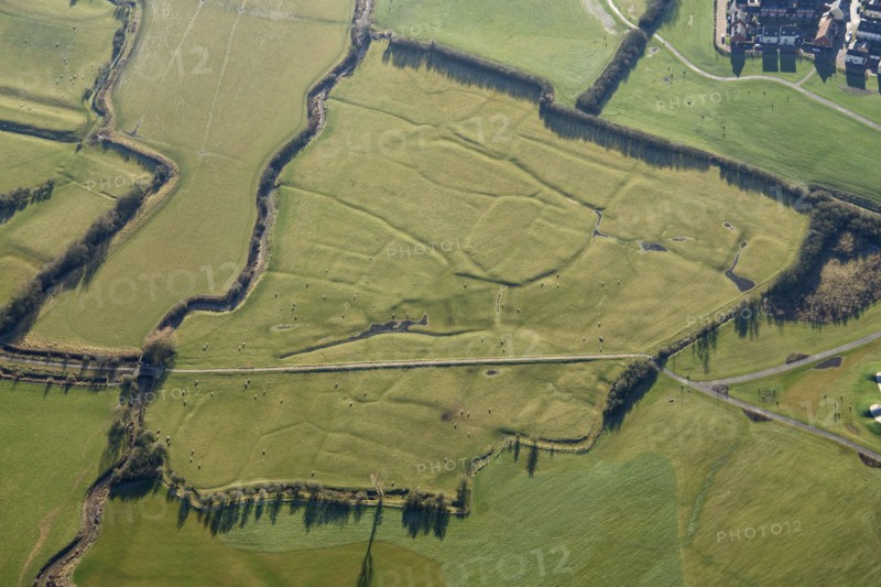 Quarrendon II deserted medieval village, Buckinghamshire, 2022. Creator: Damian Grady.