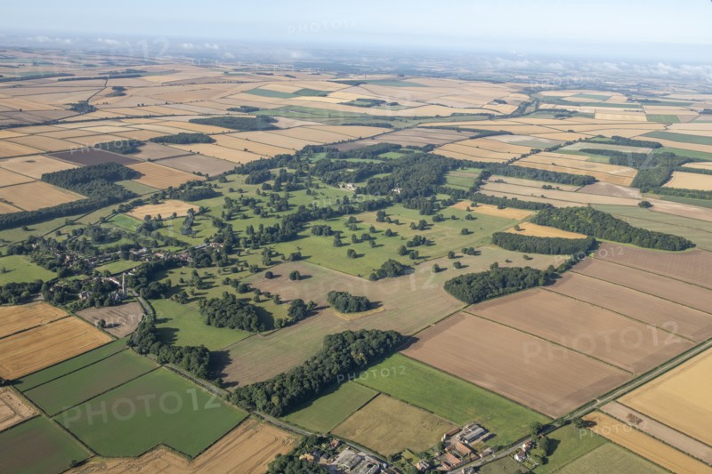 Dalton Hall landscape park, East Riding of Yorkshire, 2024. Creator: Robyn Andrews.
