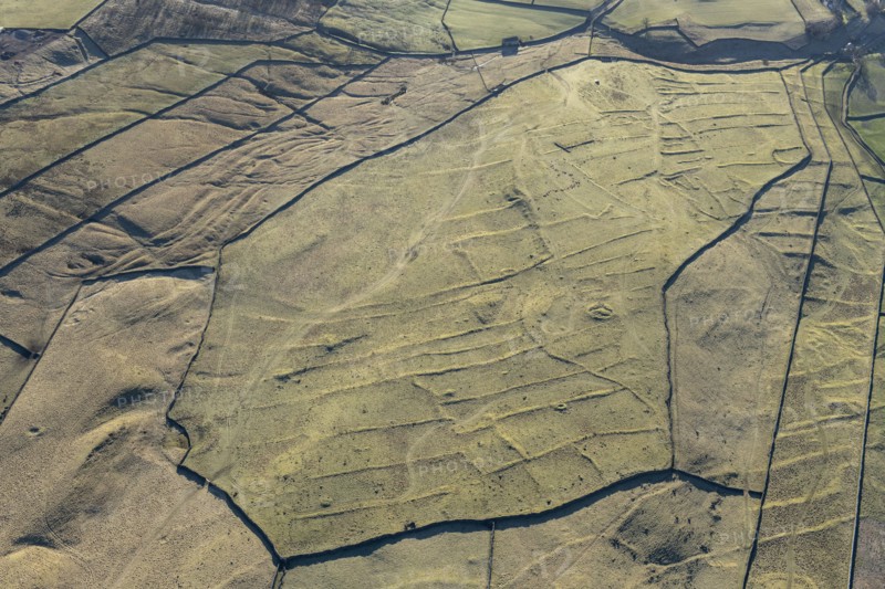 Grassington enclosures, North Yorkshire, 2024. Creator: Robyn Andrews.
