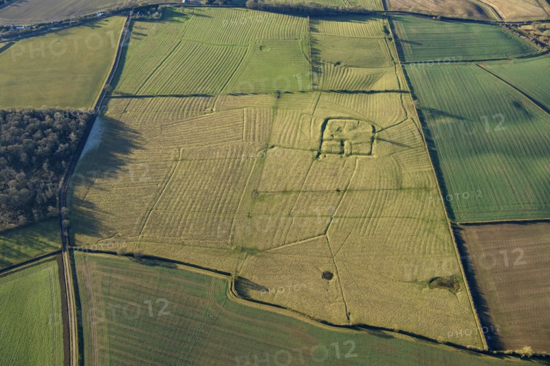 The Hoult, site of Lovells Manor, Central Bedfordshire, 2022. Creator: Damian Grady.