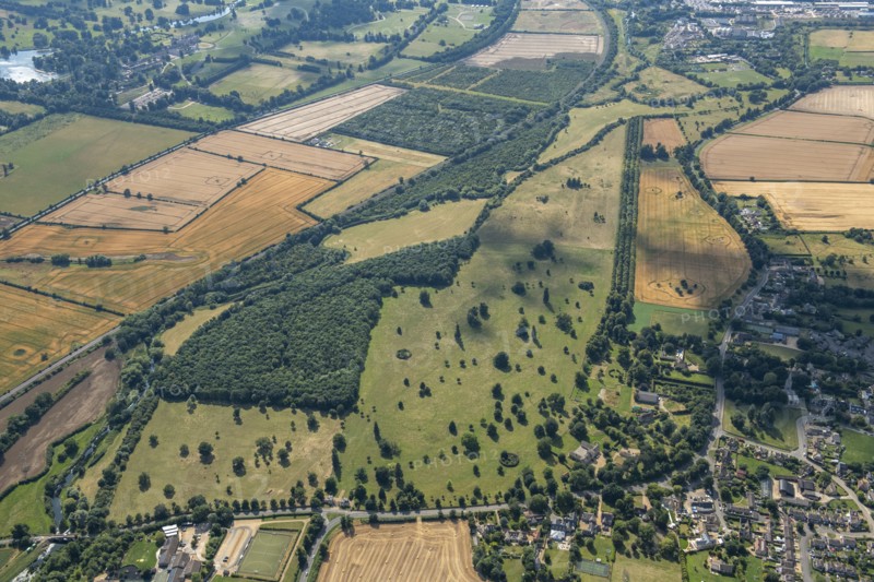 Uffington Park, Lincolnshire, 2024. Creator: Robyn Andrews.