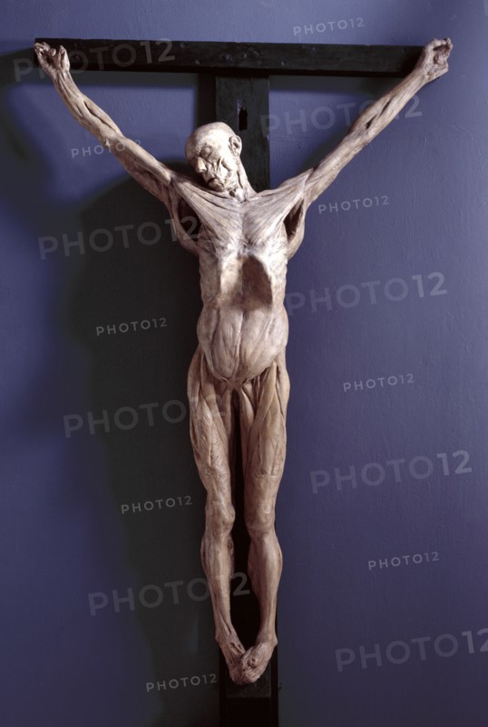 Anatomical Crucifixion (James Legg), 1801. Creator: Thomas Banks.