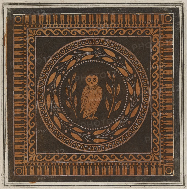 Colour plate of an owl, from a cotyle, 1766 [-1767].  Creator: Unknown.