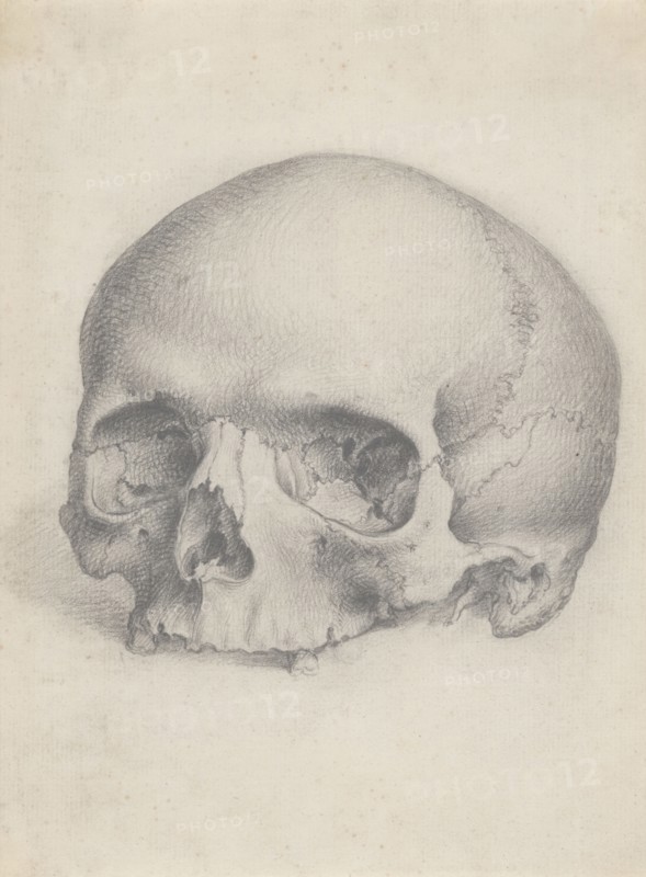 A human skull viewed from the front, for Cheselden's `Osteographia', by 1733. Creator: Gerard Vandergucht.