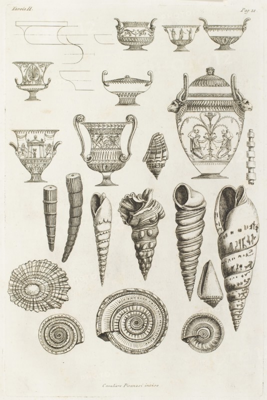 Different shells thought to inspire the forms of Etruscan vases, 1769.  Creator: Giovanni Battista Piranesi.