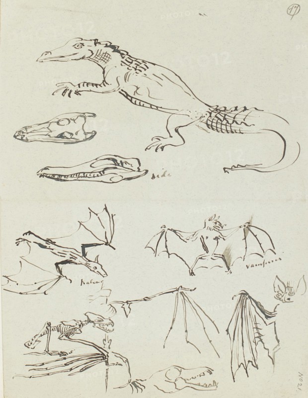 Humorous sketches of crocodiles and bats, c1870s. Creator: Henry Hugh Armstead.