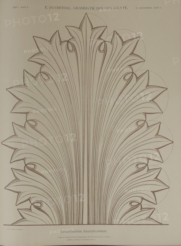 Greek acanthus leaf, 1874.  Creator: Unknown.