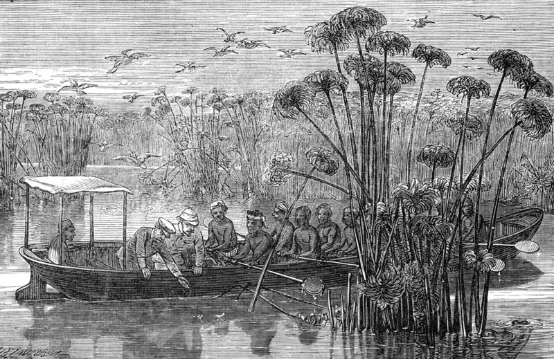 At the mouth of the Rusizi, Lake Tanganyika, 1872. Creator: J. B. Zwicken.