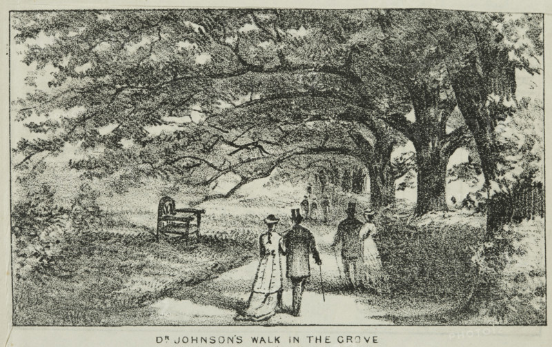 Dr Johnson's Walk in the Grove at Alexandra Palace, 19th century. Creator: Unknown.