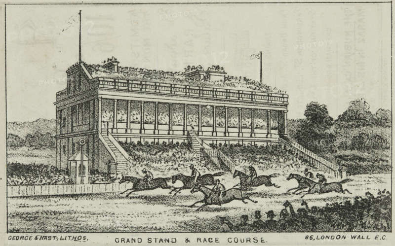 The Grand Stand and Race Course at Alexandra Palace, 19th century. Creator: George & Hast.