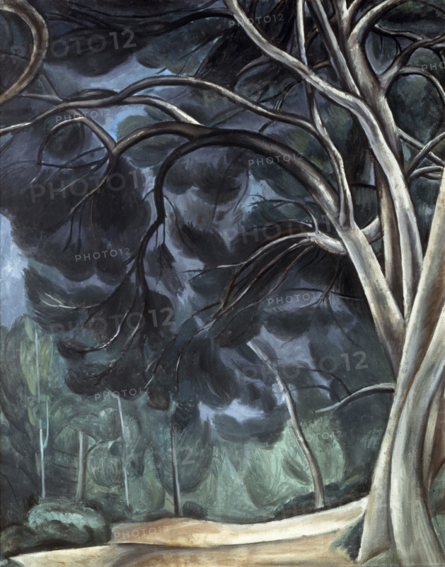 'Tree Trunks', c1912. Creator: Andre Derain.