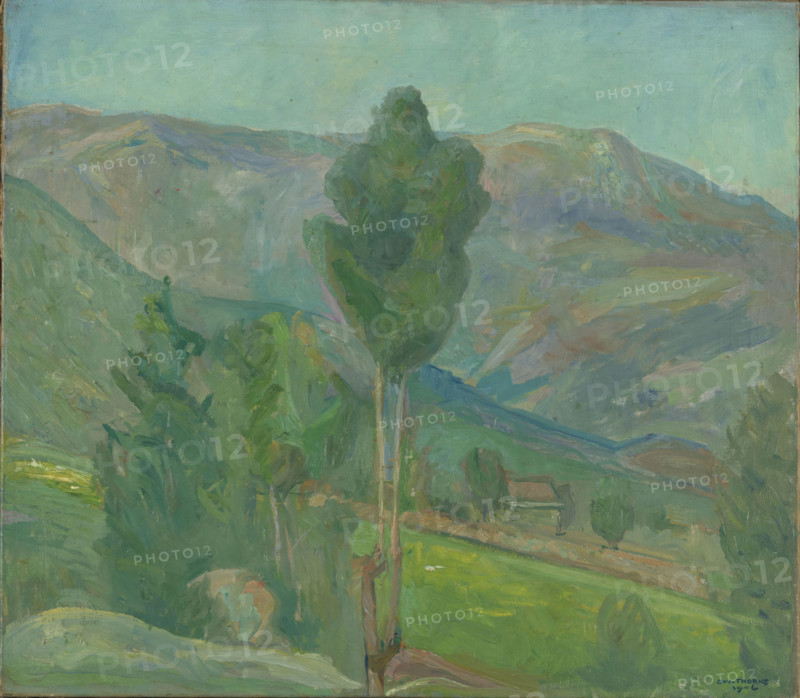 View from Seljord, 1906. Creator: Oluf Wold-Torne.