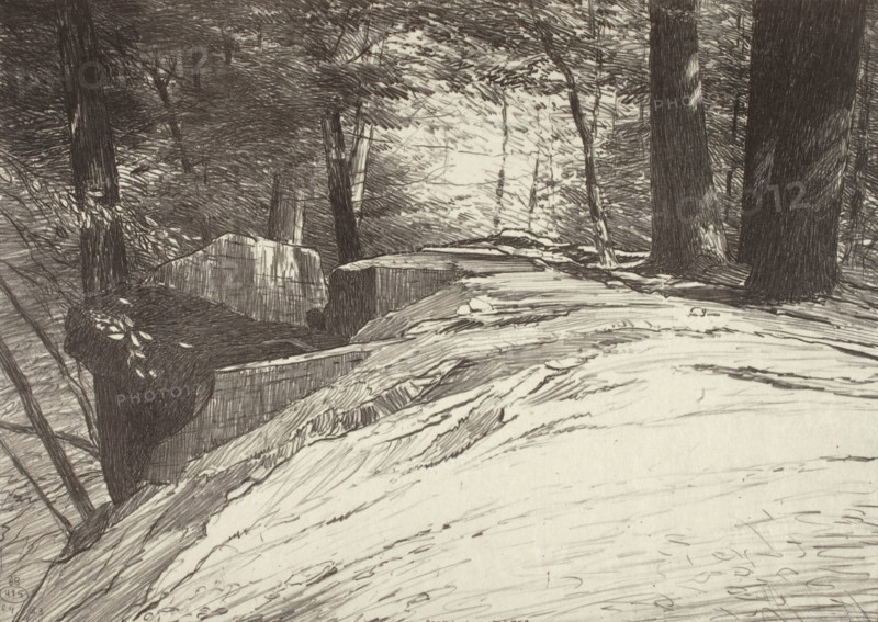 Rocks and Trees, 1923. Creator: Bolton Coit Brown.