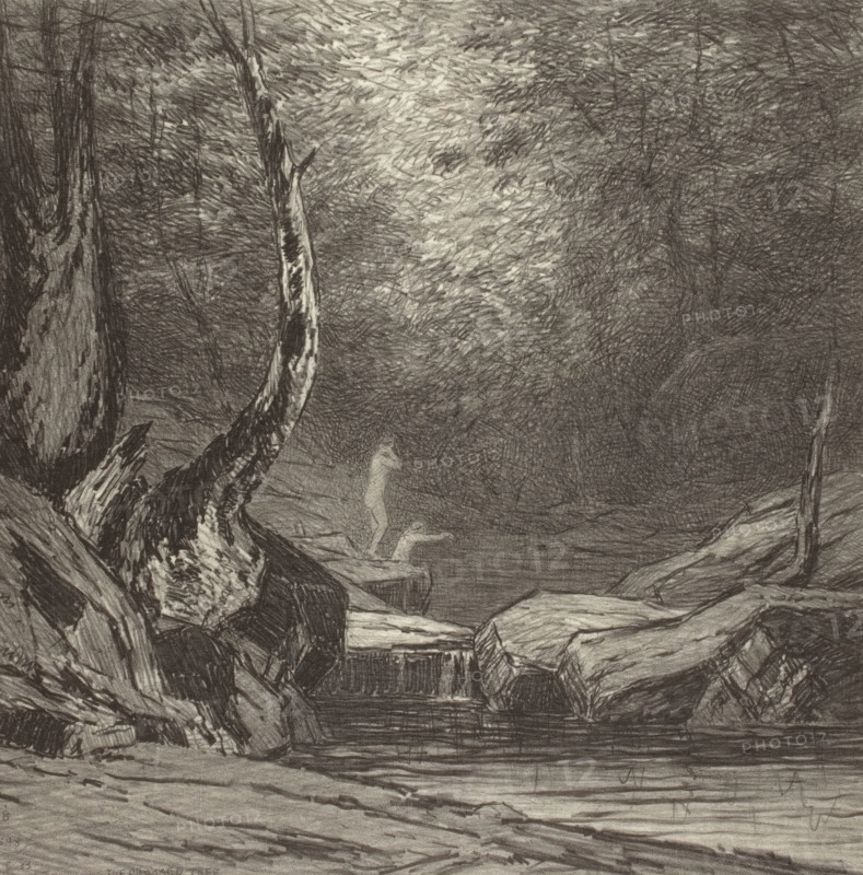 Crooked Tree, c1920s. Creator: Bolton Coit Brown.