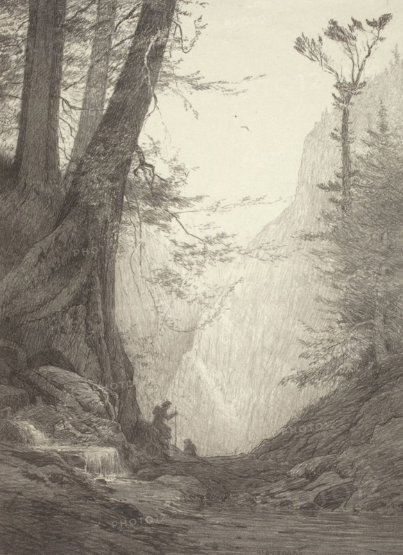Big Cedars, 1923. Creator: Bolton Coit Brown.