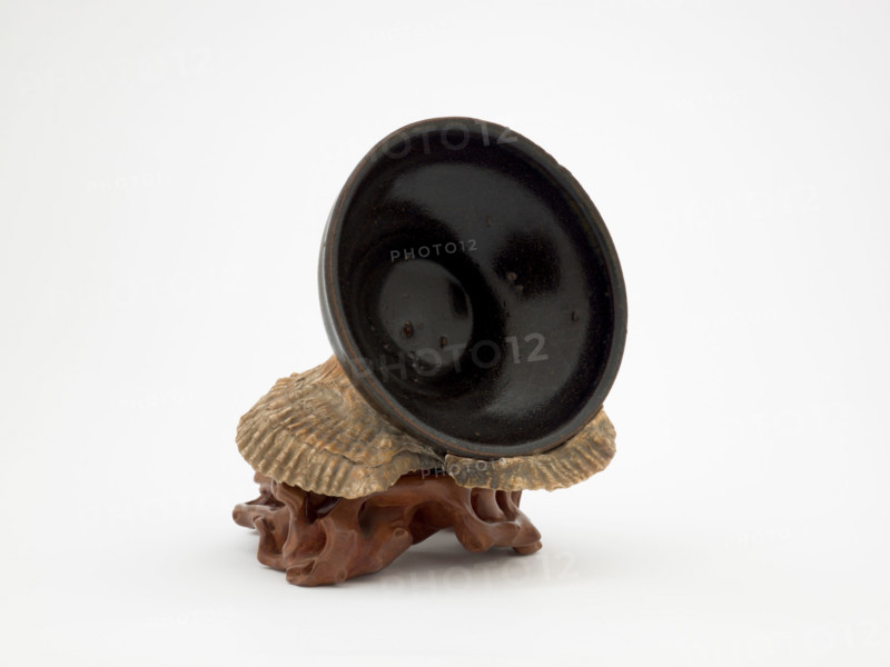 Tea bowl encrusted with sea shells, date unknown. Creator: Unknown.