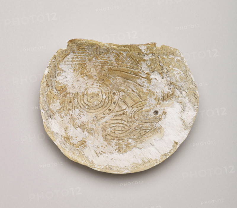Shell gorget with incised rattlesnake design, 1200-1500. Creator: Unknown.