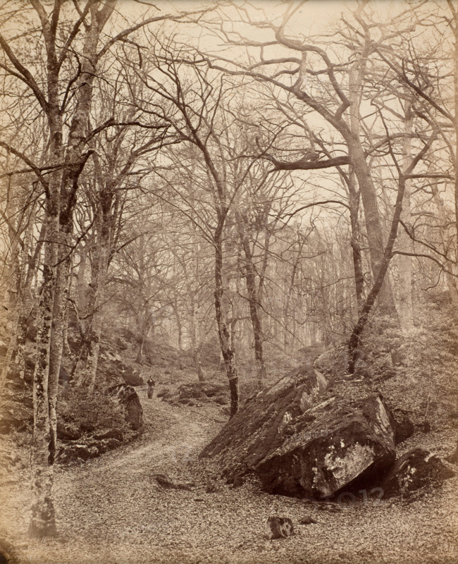 Fontainebleau, about 1870. Creator: Charles Victor Famin.
