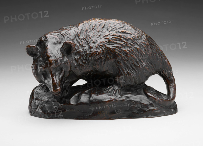Up de Gum Tree, 1843-1907. Creators: Edward Kemeys, American Bronze Foundry Company.