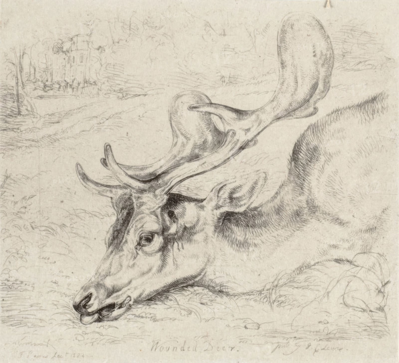 Wounded Deer, 1824. Creator: John Frederick Lewis.