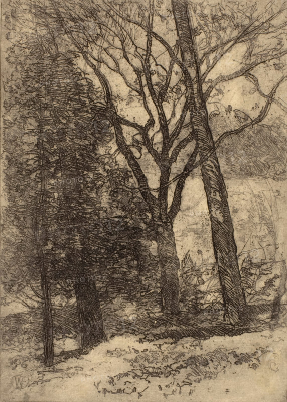 Landscape, 1913. Creator: William Forsyth.