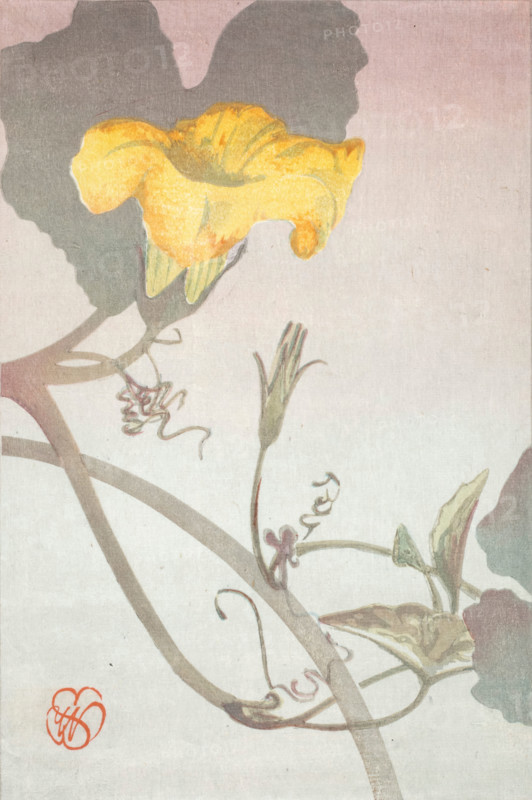 Squash Blossom, about 1908. Creator: Wilhelmina Seegmiller.