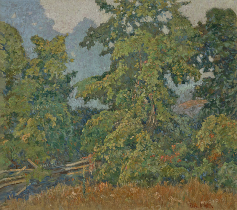 Vineclad, about 1921. Creator: Carl C Graf.